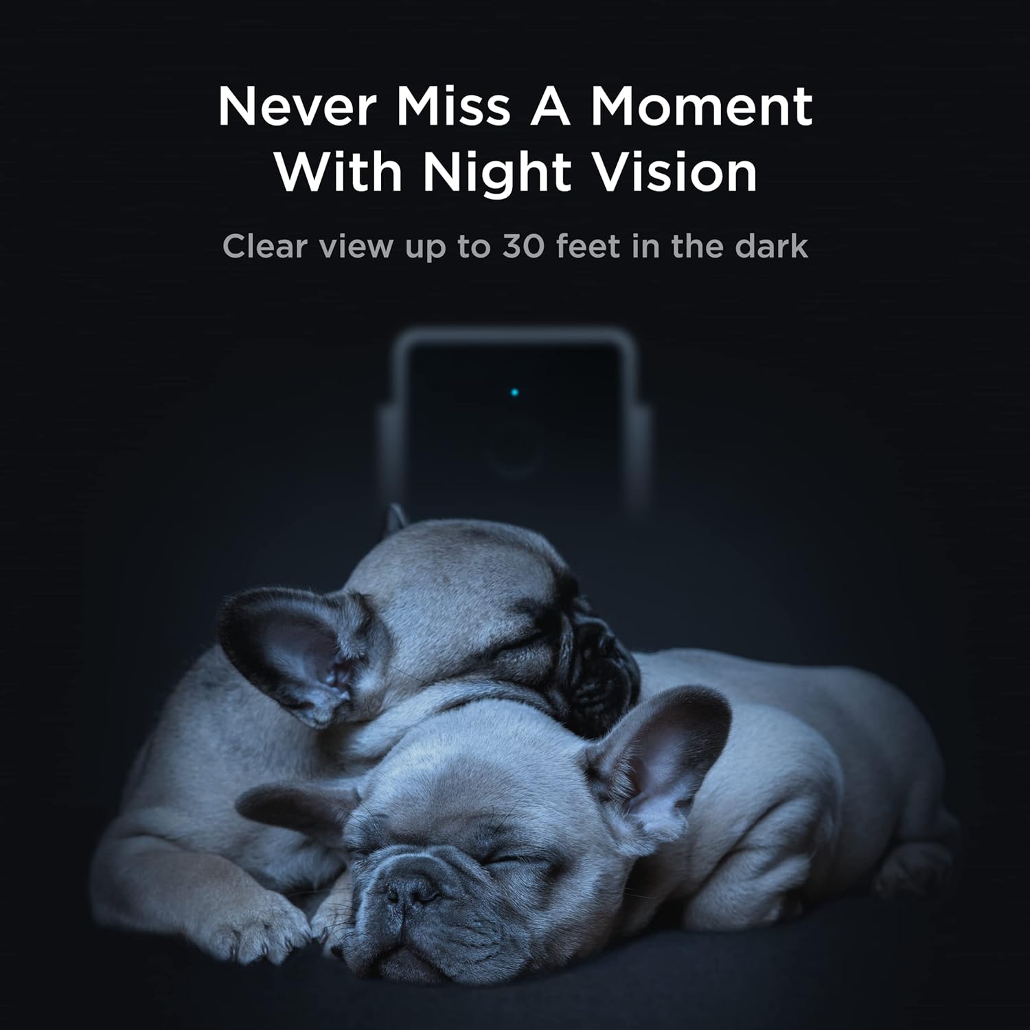 Cam | Indoor Wi-Fi Pet and Security Camera with Phone App, Pet Monitor with 2-Way Audio and Video, Night Vision, 1080P HD Video and Smart Alerts for Ultimate Home Security