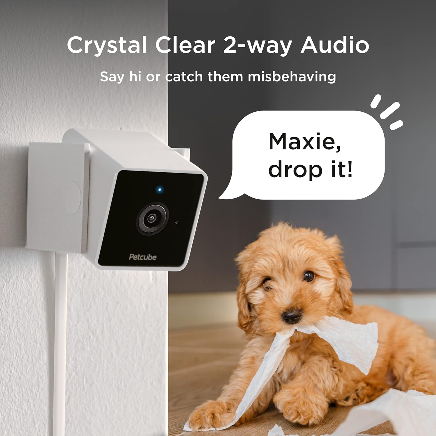 Cam | Indoor Wi-Fi Pet and Security Camera with Phone App, Pet Monitor with 2-Way Audio and Video, Night Vision, 1080P HD Video and Smart Alerts for Ultimate Home Security