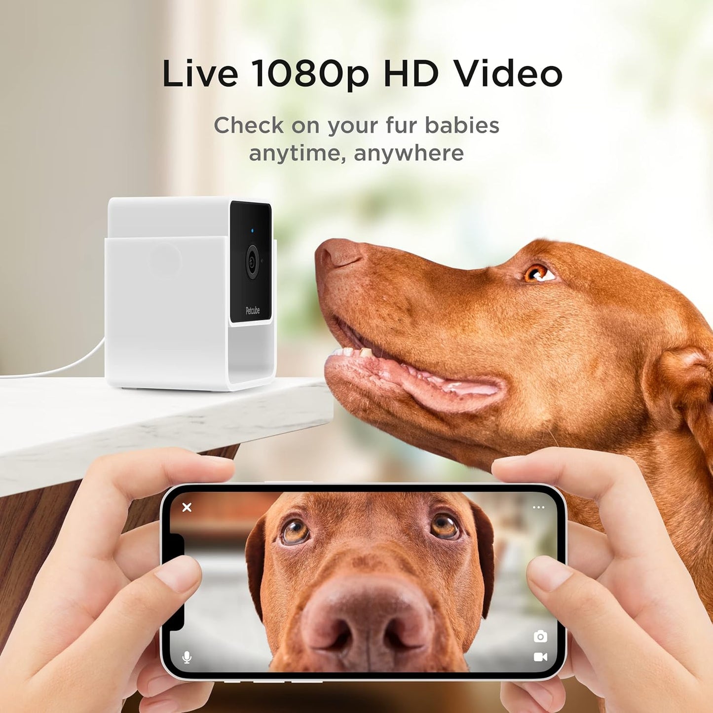 Cam | Indoor Wi-Fi Pet and Security Camera with Phone App, Pet Monitor with 2-Way Audio and Video, Night Vision, 1080P HD Video and Smart Alerts for Ultimate Home Security